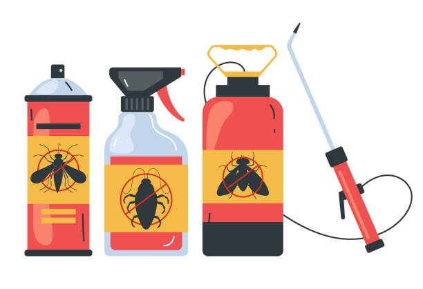Best Spider Control Near Me  in Franklinton, NC