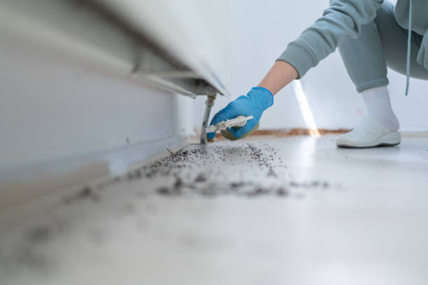 Best Best Pest Control Near Me  in Franklinton, NC