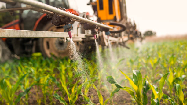 Best Commercial Pest Control Services  in Franklinton, NC
